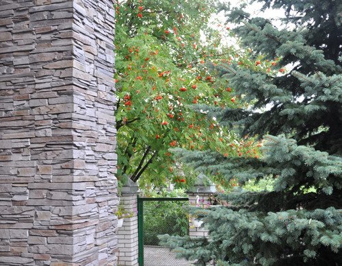 Декоративный камень в интерьере дома